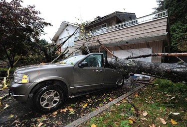 A car sits crushed by a tree in the driveway of a home on Silverdale Place following an overnight storm, in North Vancouver BC., October 13, 2016.