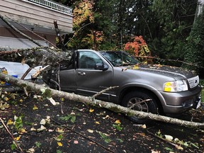 A car sits crushed by a tree in the driveway of a home on Silverdale Place following an overnight storm, in North Vancouver BC., October 13, 2016.