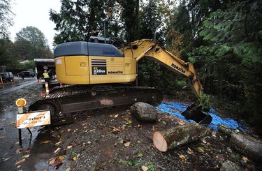 Storm preparation as a car sits crushed by a tree in the driveway of a home on Silverdale Place following an overnight storm, in North Vancouver BC., October 13, 2016.