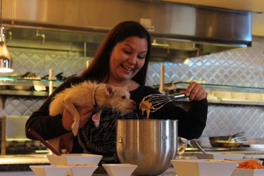 Dogs and their owners participated in Woof Weekend this past weekend at the Westin Resort and Spa in Whistler. The pooches enjoyed many events, including a fashion show, red carpet gala dinner and agility classes.