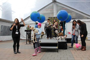 Dogs and their owners participated in Woof Weekend this past weekend at the Westin Resort and Spa in Whistler. The pooches enjoyed many events, including a fashion show, red carpet gala dinner and agility classes.