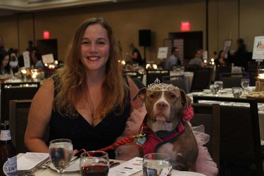 Dogs and their owners participated in Woof Weekend this past weekend at the Westin Resort and Spa in Whistler. The pooches enjoyed many events, including a fashion show, red carpet gala dinner and agility classes.