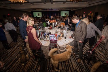 Dogs and their owners participated in Woof Weekend this past weekend at the Westin Resort and Spa in Whistler. The pooches enjoyed many events, including a fashion show, red carpet gala dinner and agility classes.