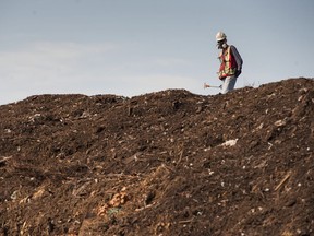 A worker measures the heat of the Covered Aerated Static Pile at Harvest Power in Richmond in July 2014.