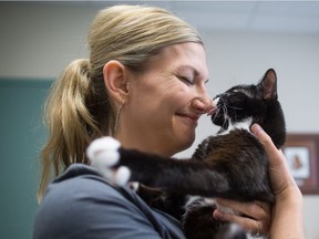 Shelly Roche and her volunteer rescue group Tiny Kittens plan to round up 20 feral cats at a rural property near Aldergrove for spaying and neutering on Oct. 15 and 16.