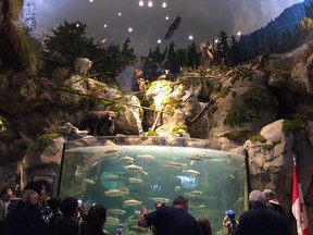 The aquarium at Bass Pro Shops outlet at the new Tsawwassen Mills mall is generating controversy.