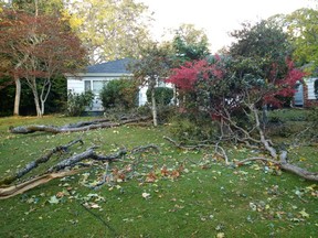 The Uplands area of Victoria was among those hit by a wind storm Thursday.