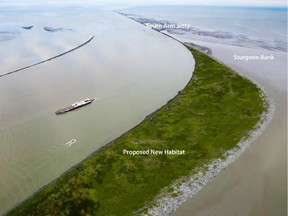 The Vancouver Fraser Port Authority is proposing to convert a sand flat at the mouth of the Fraser River into 43 hectares of marshland.