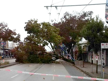 Trees down in the 3300 block of Kingsway. Vancouver police are asking people avoid the area.