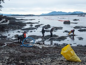 People clean up the shoreline near where the tugboat Nathan E. Stewart ran aground near Bella Bella, B.C., Monday, Oct.24, 2016. A group overseeing cleanup of an oil spill from a submerged tug on British Columbia's central coast says all the tanks aboard the Nathan E. Stewart have been pumped out.