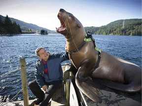 Andrew Trites with Sitka, a 19-year-old female Steller sea lion at the Open Water Research Station.