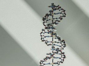 Chinese genomics giant BGI is partnering with research agencies in B.C.