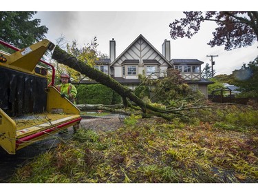 Crews work to clear a tree blown down by wind at Manitoba near 14th in Vancouver,  BC., October 14, 2016.