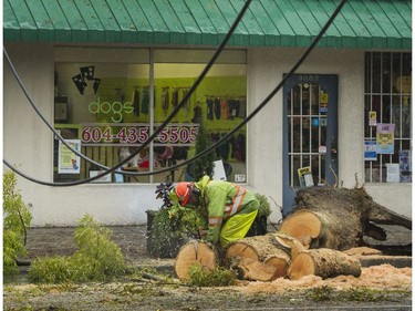 Crews work to clear trees down on Kingsway near Tyne in Vancouver,  BC., October 14, 2016.