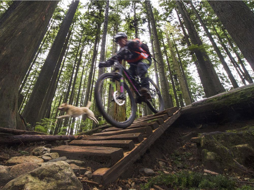 seymour mountain biking