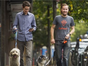 Willson Cross (left) and Paul Ratchford with Brydie and Juno in Vancouver. Cross and Ratchford co-founded GoFetch, a startup that's been described as "the Uber of dog-walking," which secured seed funding this year valuing the company at $2 million.