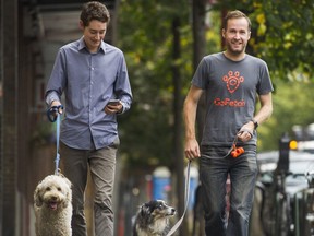 VANCOUVER, BC - OCTOBER 4, 2016,  -  Willson Cross (left) and Paul Ratchford with Brydie and Juno in Vancouver, BC., October 4, 2016. For feature about the "gig economy" and how technology is changing the face of work. Cross and Ratchford co-founded GoFetch, a local startup that's been described as "the Uber of dog-walking," which secured seed funding this year valuing the company at $2-million. Arlen Redekop / PNG photo) (story Dan Fumano) [PNG Merlin Archive]