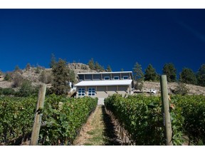 Laughing Stock Vineyard is on of the many B.C. winemakers ready to shine on the international stage.