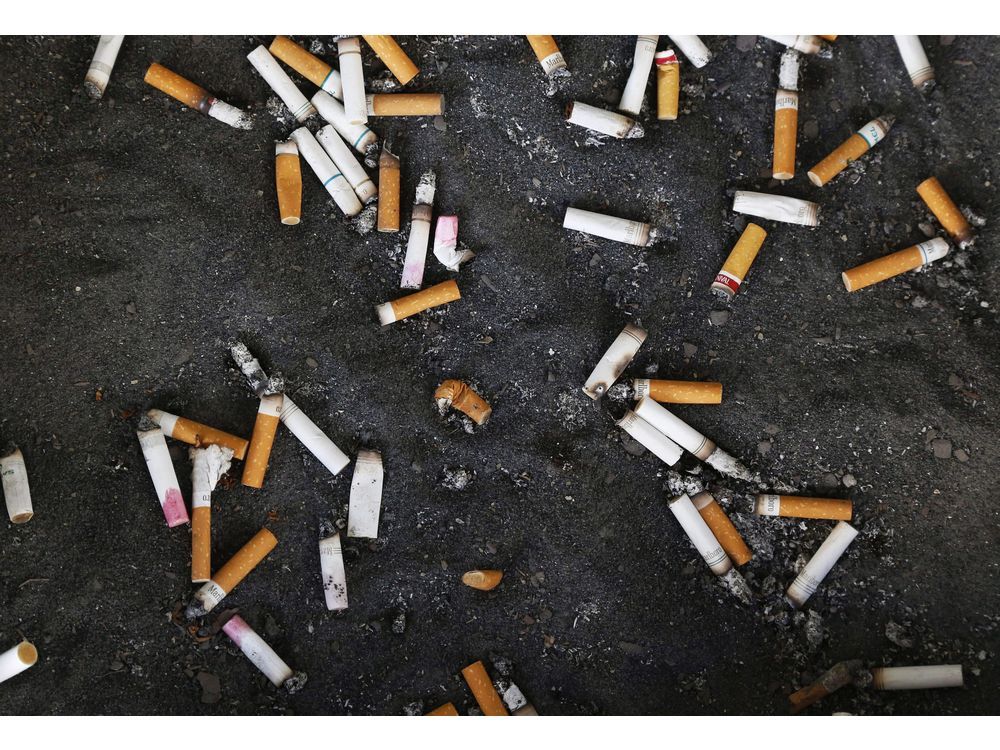 study-finds-almost-half-of-discarded-cigarettes-butts-at-ubc-are