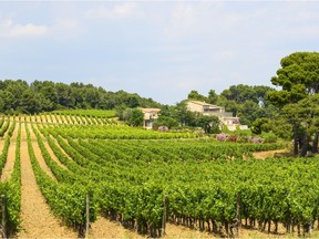 It would seem that for retailers and many consumers the south of France does not live in the rarefied air of the great French appellations, and more often than not its reputation takes a back seat to the likes of Bordeaux, Burgundy or even the Rhone.