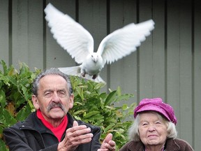 Vince Shoemaker releases a dove in memory of a loved one at an event staged by the Surrey Hospice Society on Sunday. NICK PROCAYLO/PNG