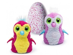 Hatchimals are the latest craze. The robotic toys are sold out in most stores and have sparked online resellers to try to fetch well above their list price. [PNG Merlin Archive]