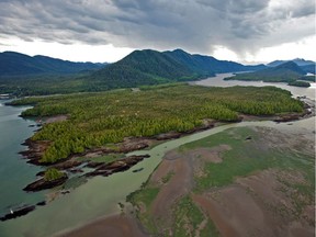 Looking across Flora Bank at low tide to the now-cancelled Pacific NorthWest LNG site on Lelu Island, in the Skeena River Estuary near Prince Rupert.