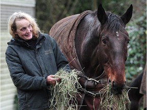Felicia Allen feeds one of the horses she has been caring for following their retirement from harness racing.