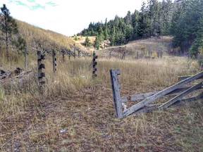 Three men were arrested in late August after stealing weathered fence wood from a corral belonging to the Coquihalla Cattle Company near Merritt.