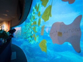 Messages of support and condolence are seen on a viewing window at the tank where beluga whales Aurora and Qila were kept at the Vancouver Aquarium, in Vancouver, B.C., on Monday November 28, 2016. Aurora died Friday after her calf Qila died less than two weeks earlier.