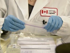 A chemist at Health Canada's regional Drug Analysis Service lab in Vancouver handles a sample for testing.