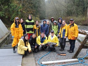 Noons Creek volunteers during their chum salmon brood-stock egg-take at Alouette River late last month.