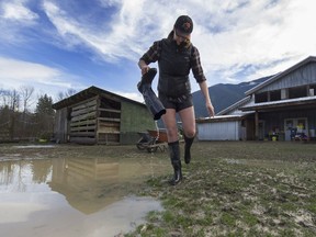 Emma Sturdy empties water from her boots as she negotiates the extensive flooding at North Arm Farm in Pemberton.