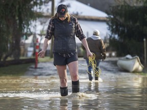 Emma Sturdy walks down her flooded driveway after flooding at North Arm Farm in Pemberton on Thursday.