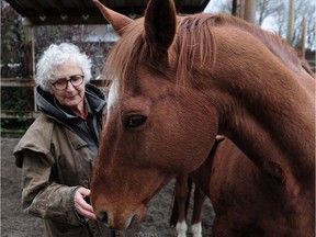 VANCOUVER, BC., November 16, 2016 -- Evelyn McKelvie working with Rocky the horse in Vancouver, BC., November 16, 2016. McKelvie is an executive coach who uses horses for executive coaching (NICK PROCAYLO/PostMedia)   00046331B	  ORG XMIT: 00046331B [PNG Merlin Archive]