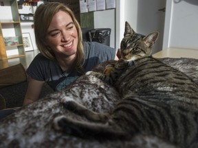 It's almost been a year since the opening of Michelle Furbacher's Catfe at International Village in Vancouver. The cat cafe offers patrons the chance to mingle with a dozen cats that are up for adoption by the SPCA.