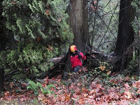 Crews searching Stanley Park  for a missing Metro Vancouver mom Florence Leung.