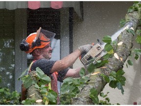 A worker cuts away at a tree that fell on a house during a windstorm in Vancouver in August.