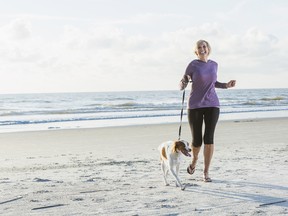 A mature woman walking her dog, a brittany spaniel, on the beach on a sunny day. She is smiling as her pet pulls ahead so she has to hold on tight to the leash.