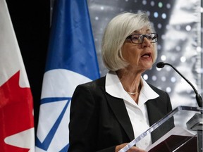 Chief Justice Beverley McLachlin addresses the Canadian Bar Association last year.