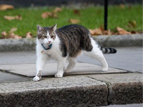 Pets are not welcome by many landlords, making vulnerable people like those with low incomes seeking subsidized housing choose between their pet and a roof over their head.