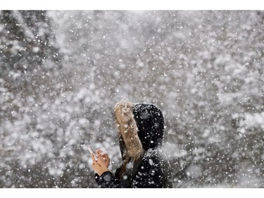 Fiona Zhang checks her phone after taking a photo of the snow falling at Queen Elizabeth Park in Vancouver, B.C., on Monday December 5, 2016. Environment Canada has issued a snowfall warning for Metro Vancouver.