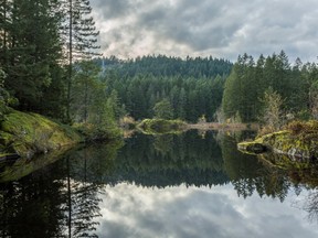 Mary Lake, part of a 30-acre site bought by the Greater Victoria Greenbelt Society.