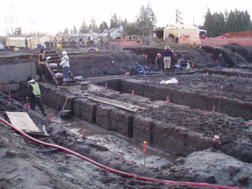 First Nations Gardened The Ocean On B.C.’s Coast Thousands Of Years Ago ...