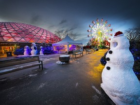 Holiday Heights at Bloedel, Dec 8, 2016 Vancouver B.C, Photo: Francis Georgian, Trax# 00046808A [PNG Merlin Archive]