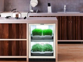Home-based food production is poised to go mainstream. These units from Urban Cultivator fit under the counter.
