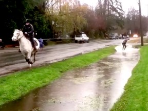 Jordan Maynard ditch boards in a flooded Southlands ditch.