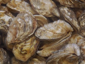 A public health notice says 201 norovirus cases and other stomach ailments in B.C. linked to local oysters.