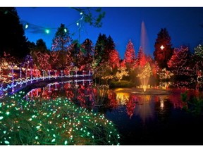 Scene from the VanDusen Botanical Garden Festival of Lights