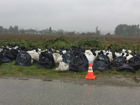Several bags of drywall and other household materials sit at the side of No. 6 road near Cambie Road in Richmond, where they were discovered on Sept. 29, 2016. They remained there until removed by a City of Richmond crew on Oct. 12.